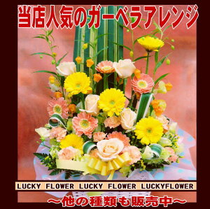 y`̓ɑAWzK[xRAWIyzyzyyzyFIWz