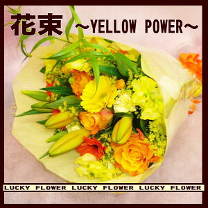 ytzyFIWzy`̓ɑԑzlC̉FnԑI`yellow power`yzyz