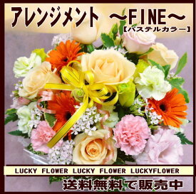 【夫婦】【クリスマス】【敬老の日】【ピンク】人気のパステルカラー系アレンジメント！〜FINE〜【送料無料】