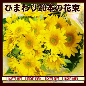 ylzyЂ܂zG߂̐lCԑI̔JnIЂ܂̉ԑy20{zyzyy@֓zyFIWz