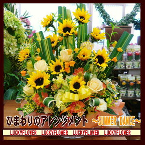 y䒆zy̓zyЂ܂z@yČz؂Ђ܂AWyzaEjEJXɂIysmtb-TDzysaitamazyFIWz