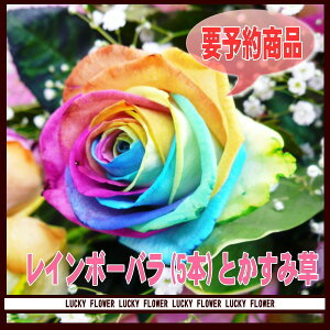 y̓zy䒆z\񏤕iIC{[o5{̉ԑIIyzaj v[g \ Vzj LO ړ]j 蕨 ސEj oYj  ސE Ε@