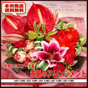 yČzyvwzyzyzG߂̂ԂŁIu[PX^CAWgyԁzyzaj v[g \ Vzj LO ړ]j 蕨 ސEj oYj