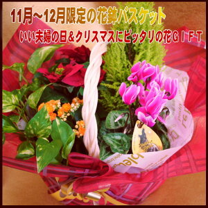 yvwzyΕzyNX}Xzy~z̉ԔoXPbgI|CZ`A聚yzyyΉ_֓zysmtb-TDzysaitamazyyMt_za v[g \ Vzj