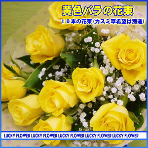 y̓zy䒆zyFIWzy&ozyazaIX߁Io10{̉ԑIIyz