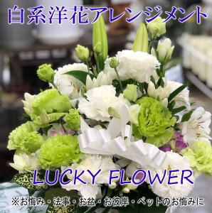 zCgWFn̗mԃAWgyzyyΉ_֓zyybgzysmtb-TDzysaitamazyyMt_zy݁E䋟z