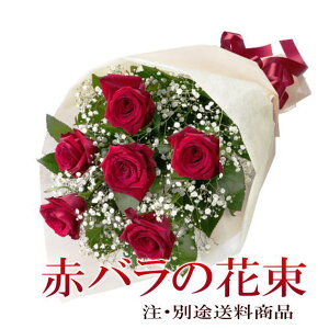 yvwzyozyԁzyo^CzyNX}Xz@@yazjEX߁IỏԑIy120TCYzwlCԌnôԂő؂Ȃ̐lɎv𑡂낤Ixysmtb-TDz