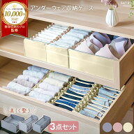 【整理収納のプロ推薦★レビュー300件超！】【雑誌掲載】下着収納ボックス 洗える 下着収納 仕切りケース…