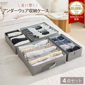 【整理収納のプロ推薦★レビュー100件超！】下着収納ボックス 洗える 下着収納ケース 4点セット 収納 引き出し 仕切り ケース 下着収納 クローゼット チェスト アンダーウェア 引き出し収納 タンス 靴下 下着 Tシャツ 整理 収納用品
