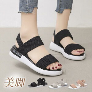 T_ fB[X X|[cT_@ Lk ʋC  ꕔ[ ؍ JWA ₷ Xj[J[T_ S r Ȃ 