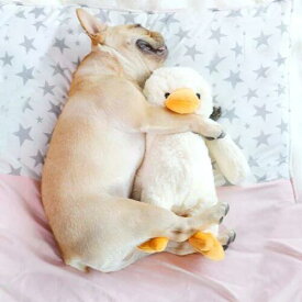 犬 おもちゃ 玩具　壊れにくい 大型犬 中型犬 小型犬 アヒル　ぬいぐるみ 丈夫 音が出る ストレス解消 運動不足 犬用おもちゃ 歯ぎ清潔 発声装置搭載
