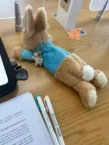  e @yP[X@ӂł@ӂӂ@q@ԁ@@v[gɁ@Mtg