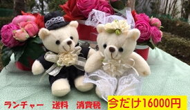 楽天市場 パラシュート ベアの通販