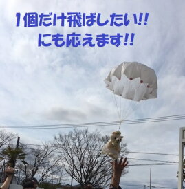 [レンタル]ランチャー付【送料無料】パラシュートベア　1個　サプライズ　　結婚式　チャペル　新しい演出　ブーケトス　ゲスト参加　ゼクシィ　ゼクシィネット　　フラワーシャワー　ブロッコリートス