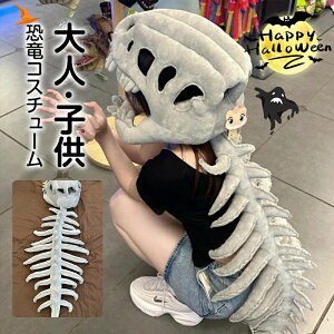 XPgRX`[Zbg A RX`[ ʂ݋΃WvX[c AXPgRX`[Zbg t |}XNtnEBߑ q