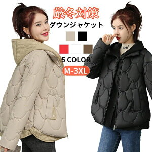 _EWPbg R[g fB[X _ER[g Xqt 񖇏d˕ tH~ ۉQ y h  g n H Vv V[g RpNg AE^[ H ~ t l 