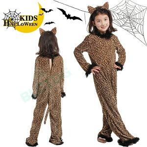 nEB ߑ q ^ q  ޏ s[X ̎q ߑ qp  nEB[ _Xߑ LbY RXv RX`[ nEB ߑ q RXv  