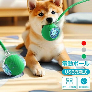 電動ボール 猫おもちゃ 猫ボール ペットおもちゃ 弾むボール 犬用品 猫用品 一人遊び USB充電式 光る 自動回転 お留守番 安全 運動不足・ストレス解消