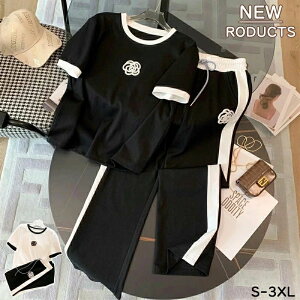 X|[cX[c fB[X 2 ̃Zbg  Opc N[lbN   n hJ JWA t@bV  ʋ Sn ʋC  tBX ItBXJWA 