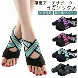 K\bNX O T|[^[ G A[` T|[^[ 5{w ܐȂ ~ EH[NT|[^[ RAg[jO KV[Y KEFA ̊ RAEH[N _X o