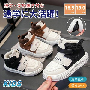 Xj[J[ LbY WjA q C ̎q h Ȃ ₷ ₷ Ȃ y jOV[Y  ʊw j̎q q w V[Y C