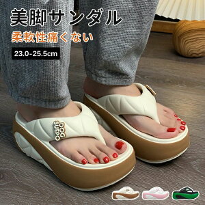 r[`T_ fB[X rT_ fB[X  y gOT_ ₷ T_ fB[X q[6cm p Sn  킢 y ~  傫TC