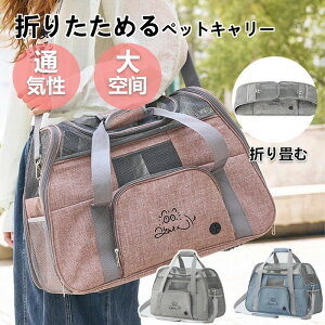 ybgL[ ܂肽 obO 2way V_[ LobN obN O[ u[ sNL  ^ y ܂ ybgL[obO ΂߂ 8kg  ybgL[P[X a