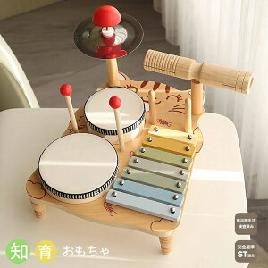 知育玩具 木製 多機能打楽器 木琴ドラムセット ベビーミュージカル おもちゃ 微細運動能力 創造性 モンテッソーリ楽器のおもちゃセット 子供ドラム木琴のおもちゃ 子ども 子供 ベビー 赤ち