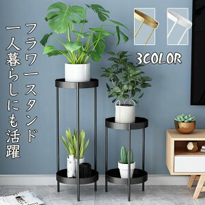 v^[X^h t[X^h X^h  O   ԑ 50/80cm ϗtA X  k  zCg  ubN S[h  90   ԕr u I Aؔ