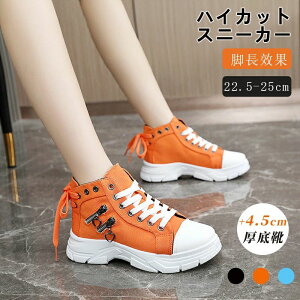 Xj[J[ fB[X 22.5-25.0cm Xm[u[c JWAV[Y 4.5cm q[ ʋC y gAbv r ₷ Ȃ L tH ʊw ʋ ؍t@bVXj[J