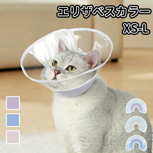 GUxXJ[ Lp p y p ی  pEFA 畆a rߖh~   L \tg Lbg hbO ybgpi ybgObY _炩 X|W 킢 ی  