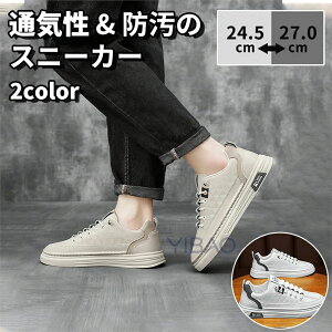 Xj[J[ C zCg  k mEF[ TXeBiu TXeiu zCgXj[J[ g d ʊw  GR wZ C\[  mfBbNCg Xj[J[ ^