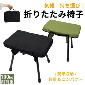 ܂肽݈֎q Lv`FA y ω׏d100kg gю RpNg[ AEghA sNjbN ނ X|[cϐ ȈՐ܂ A~r ^x` nCLO K[fjO  C 