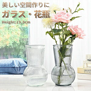 �k���� �K���X �ԕr �t�����[�x�[�X 19.3cm �V���v�� ���_�� ��i ������� �O���[ �N���A �X�g���C�v�� ������ ���M �G���K���g �f�U�C�� �Ԋ� �C���e���A �Ԃт�