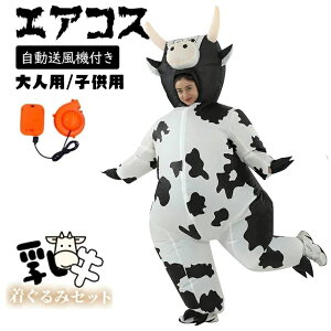  GARX RXv150cm`190cm b lC  Ct[^u ߑZbgl`[CƃT[C Xe[Wpړo Cxg RXv  \ RX`[ VN 