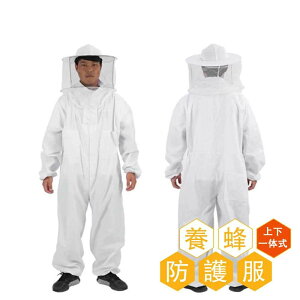 y݌voה?26,000{z{Ip h앞 ㉺̎ Ih앞 {I _ ƕ ی tFCXlbg ی앞 q Ȋ Q I  ʋC y XYo`쏜 n`h앞 K[f