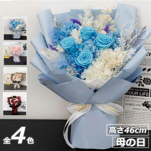 ̓  o^Cf[v[a ʂ݃u[Piʂ݃u[P u[ \[vt[u[P j jd j d u[P v[g }XRbg 