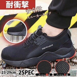 SC [Nu[c ƌC Ȃ Y fB[X  ZteB[V[Y SXj[J[ ܐK[h  y ʋC  JWA 