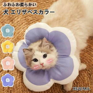  GUxXJ[ _炩 ybg 킢 \tg h[ic h y rߖh~ p  ی  L ^  t[ ybgpi r p