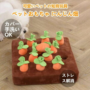 ノーズワーク にんじん ペットおもちゃ ペット用品 知育玩具 ぬいぐるみ 人参 犬 きのこ いちご いぬ 猫 ねこ 性格改善 運動不足 嗅覚訓練 ストレス解消 犬歯磨き 食いちぎる対策 知育 ペッ
