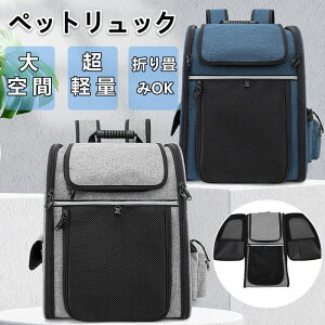 ybgbN g ybgL[ ybgL[bN ybgL[obO ybgobO ybg L[ bN obO L   ˂ Ck lR obNL L[obO 