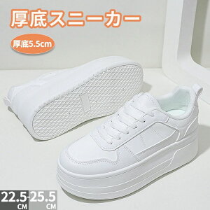  Xj[J[ fB[X  Xj[J[ EH[LO V[Y C ꂢ ₷ y  Cq[Xj[J[ ʊw ؍ C _CGbgXj[J[ lC 5.5cmg