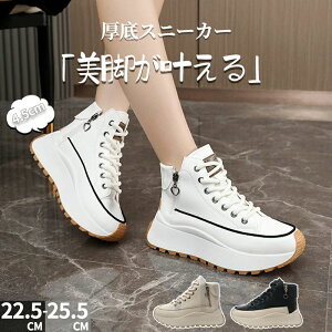 Xj[J[ fB[X Xj[J[  EH[LOV[Y 4.5cmgAbv [XAbv nCJbgXj[J[ y ₷ Ȃ ^CV[Y L ʋ ʊw nCJb