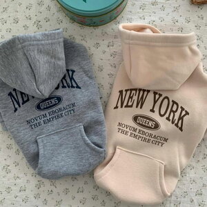 ! 킢 H~V H ~ EB^[  S lC t[fB[ ^ ybgEFA U Jbg\[ p[J[ j̎q jZbNX  Vv hbOEFA 