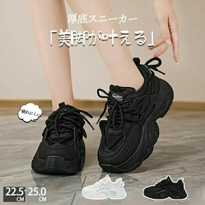  Xj[J[ fB[X _bhXj[J[ EH[LOV[Y _CGbg Xj[J[ JWA ꂢ ʋC y ɂ _CGbgXj[J[ JWA ^C i[XV