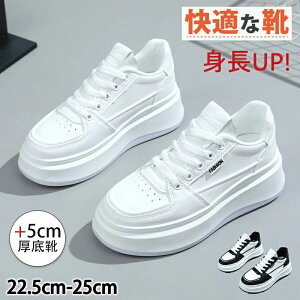 Xj[J[ fB[X w l X|[cV[Y C X|[c V[Y ~ h +5cm C r ₷ Ȃ ɂȂ ʋC Vv tbg lG ʊw ʋ