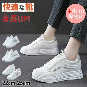 Xj[J[ tbgV[Y fB[X C C X|[c V[Y w l ₷ ~ h +4cm C  킢 JWA rr ȂV[Y 