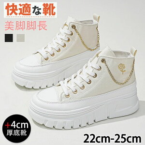 nCJbgXj[J[ fB[X C ؍ [XAbvXj[J[ +4cm C `F[t ₷  킢 JWA rr ȂV[Y {[\[ 