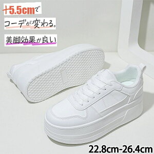  Xj[J[ C fB[X EH[LOV[Y +5.5cm C _bhXj[J[ _CGbgXj[J[ gAbv  JWA rr ₷ fB[XV[Y ؍ 