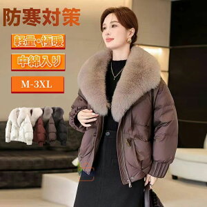 _ER[g fB[X _EWPbg fB[XR[g R[g AE^[  g  JWA  H~ h h ʊw ʋ ~